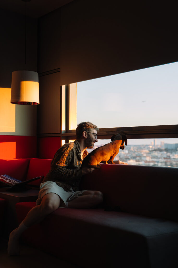 Hundefotografie – Hund am Fenster über Wien