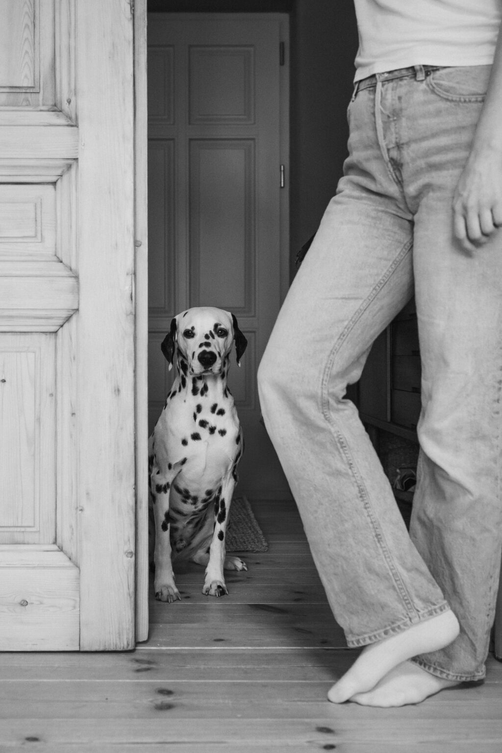 Dalmatiner in der Tür neben Frauchen – Homestory mit Hund